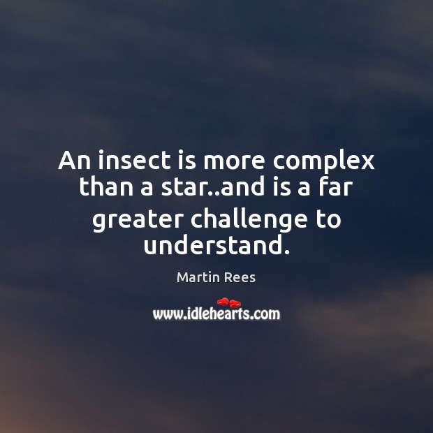 An insect is more complex than a star..and is a far greater challenge to understand. Martin Rees Picture Quote
