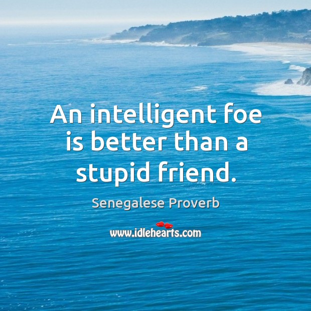 An intelligent foe is better than a stupid friend. Senegalese Proverbs Image