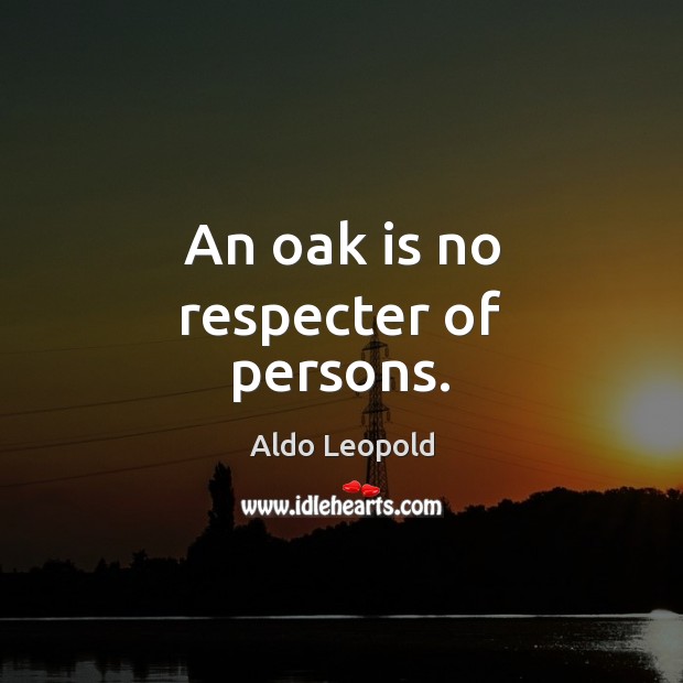 An oak is no respecter of persons. Aldo Leopold Picture Quote