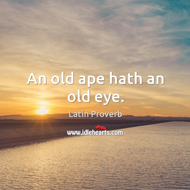 An old ape hath an old eye. Latin Proverbs Image