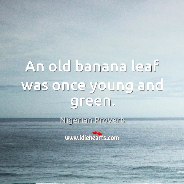 An old banana leaf was once young and green. Nigerian Proverbs Image
