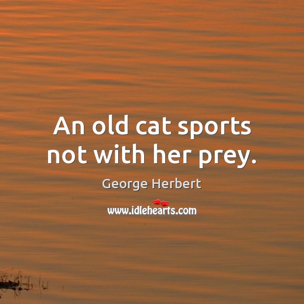 An old cat sports not with her prey. Sports Quotes Image