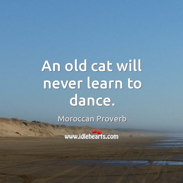 An old cat will never learn to dance. Moroccan Proverbs Image