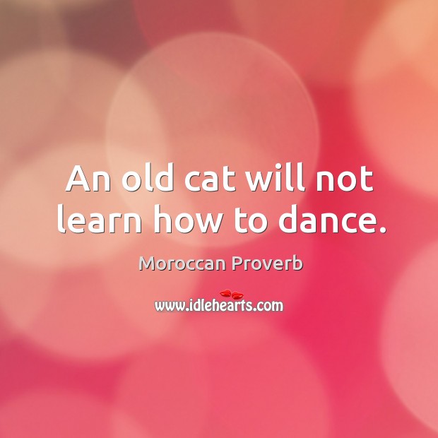 An old cat will not learn how to dance. Moroccan Proverbs Image