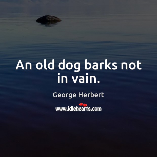 An old dog barks not in vain. Image