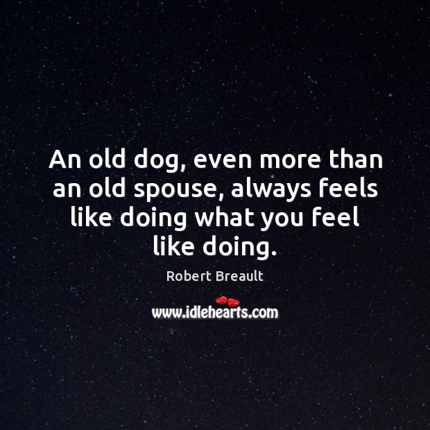 An old dog, even more than an old spouse, always feels like Robert Breault Picture Quote