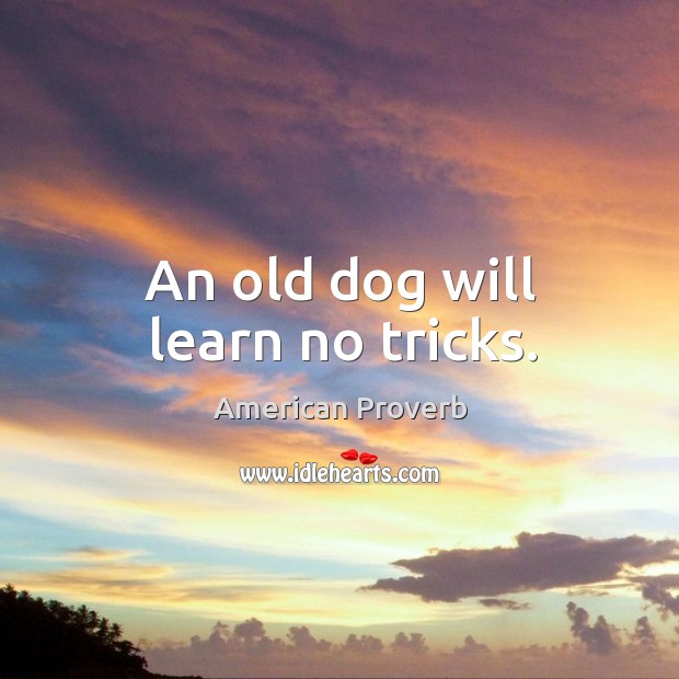 An old dog will learn no tricks. Image