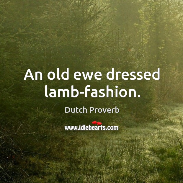 An old ewe dressed lamb-fashion. Image
