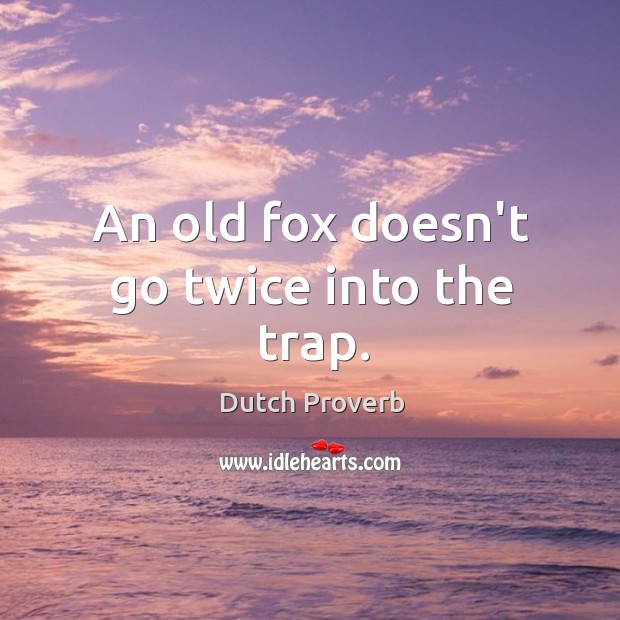 An old fox doesn’t go twice into the trap. Dutch Proverbs Image