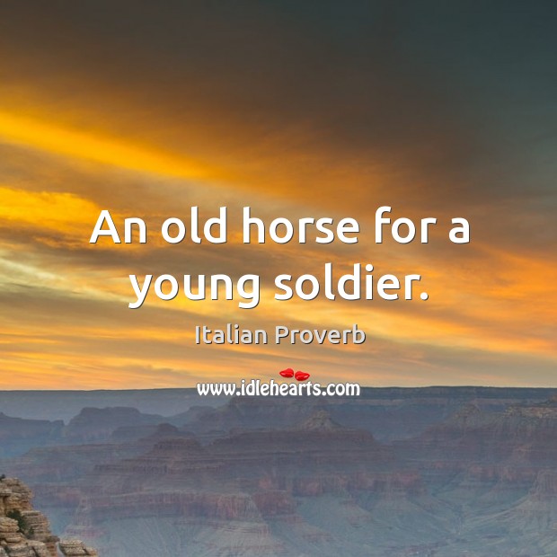An old horse for a young soldier. Image