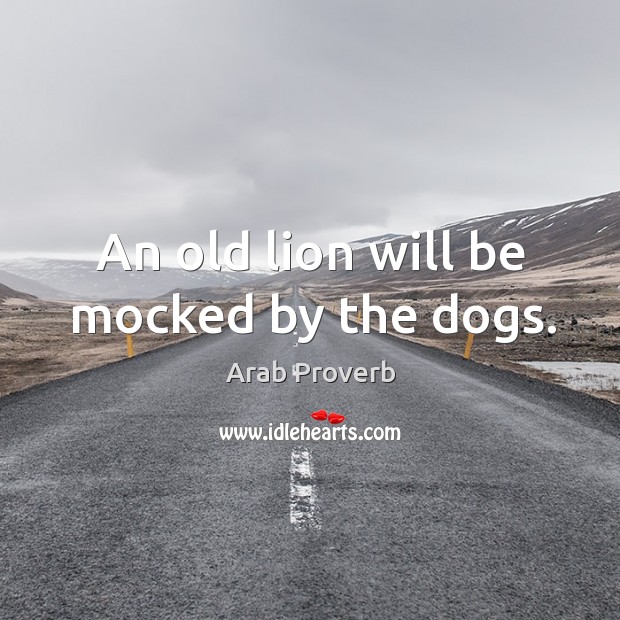 An old lion will be mocked by the dogs. Arab Proverbs Image