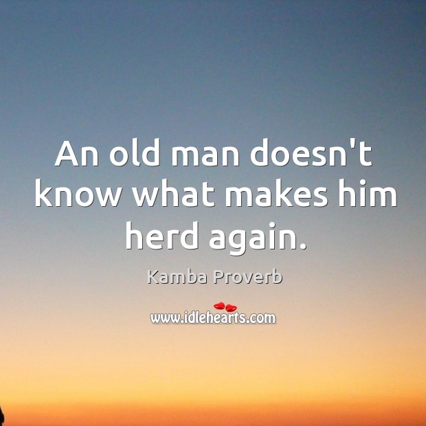 An old man doesn’t know what makes him herd again. Kamba Proverbs Image