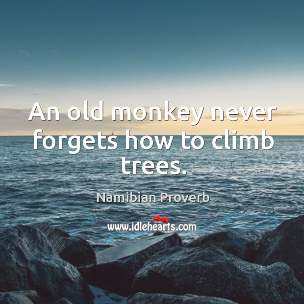 An old monkey never forgets how to climb trees. Namibian Proverbs Image