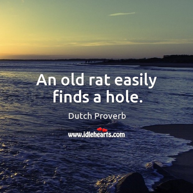 An old rat easily finds a hole. Dutch Proverbs Image