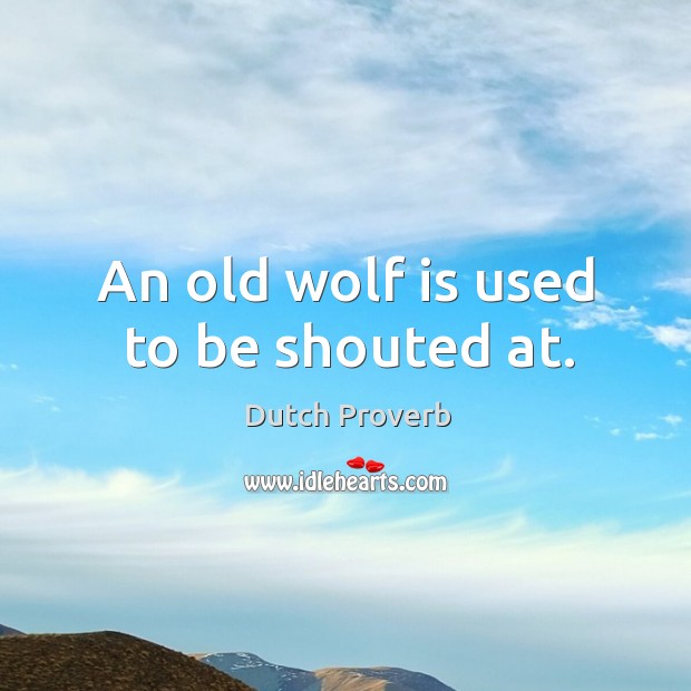 An old wolf is used to be shouted at. Dutch Proverbs Image