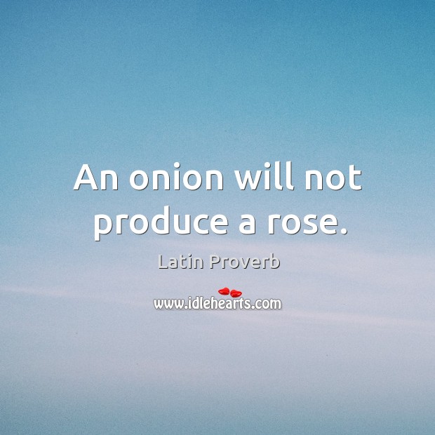 An onion will not produce a rose. Image