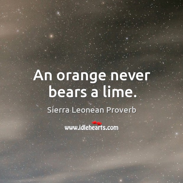 An orange never bears a lime. Sierra Leonean Proverbs Image
