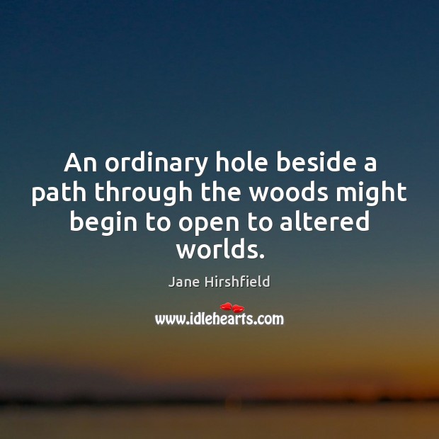 An ordinary hole beside a path through the woods might begin to open to altered worlds. Image