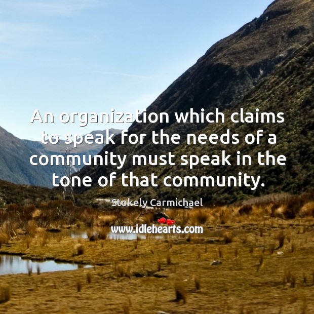 An organization which claims to speak for the needs of a community Image