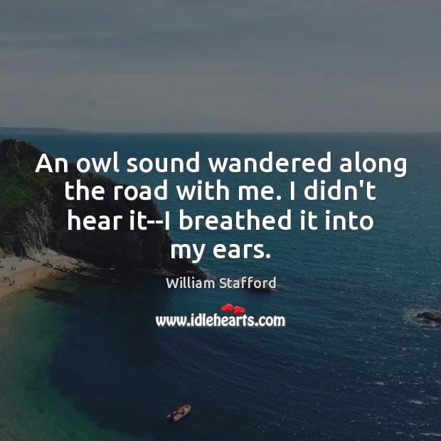 An owl sound wandered along the road with me. I didn’t hear William Stafford Picture Quote