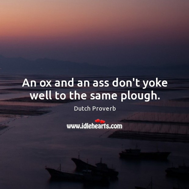 An ox and an ass don’t yoke well to the same plough. Dutch Proverbs Image