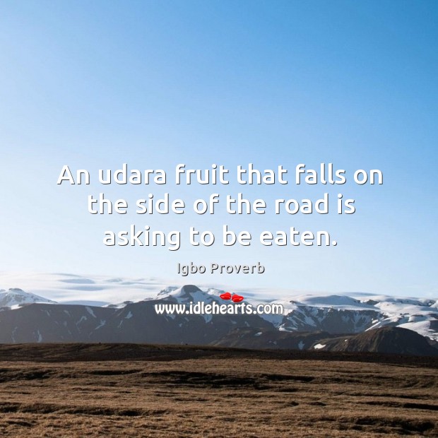 An udara fruit that falls on the side of the road is asking to be eaten. Igbo Proverbs Image