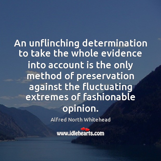 An unflinching determination to take the whole evidence into account is the Determination Quotes Image