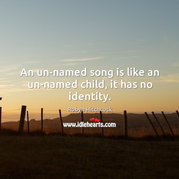 An un-named song is like an un-named child, it has no identity. Robyn Hitchcock Picture Quote