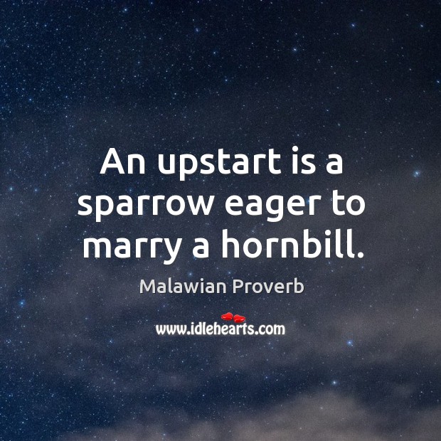An upstart is a sparrow eager to marry a hornbill. Malawian Proverbs Image
