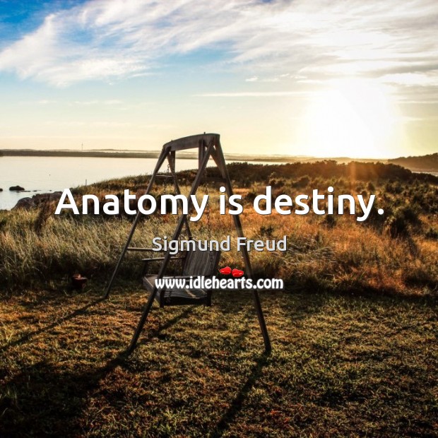 Anatomy is destiny. 