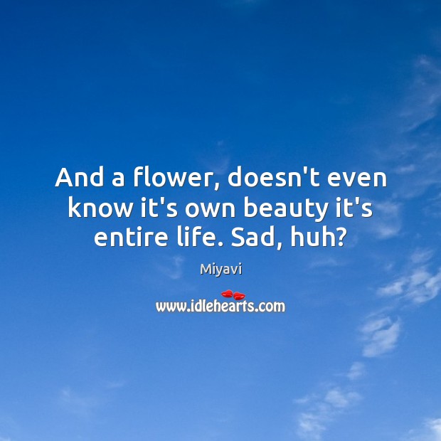 And a flower, doesn’t even know it’s own beauty it’s entire life. Sad, huh? Miyavi Picture Quote