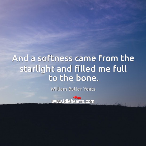 And a softness came from the starlight and filled me full to the bone. William Butler Yeats Picture Quote