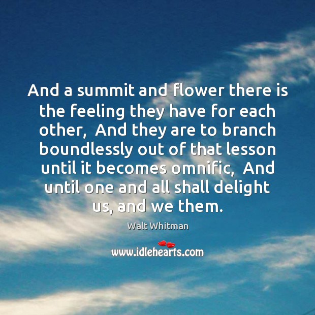 And a summit and flower there is the feeling they have for Walt Whitman Picture Quote