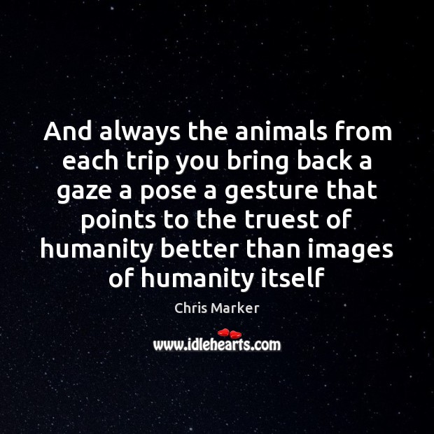 And always the animals from each trip you bring back a gaze Chris Marker Picture Quote