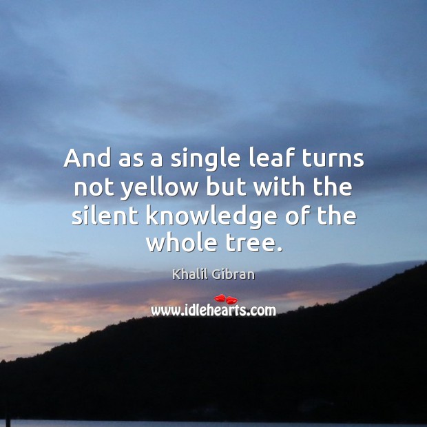 And as a single leaf turns not yellow but with the silent knowledge of the whole tree. Image