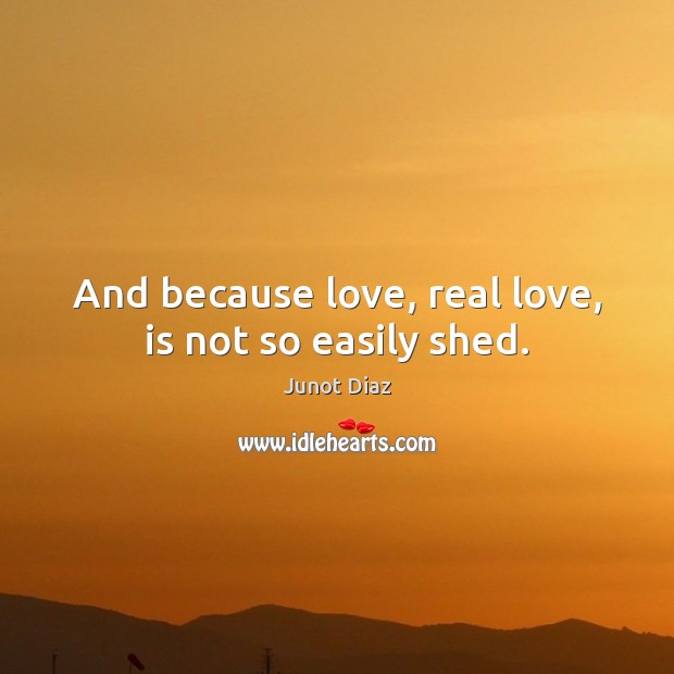 And because love, real love, is not so easily shed. Junot Diaz Picture Quote