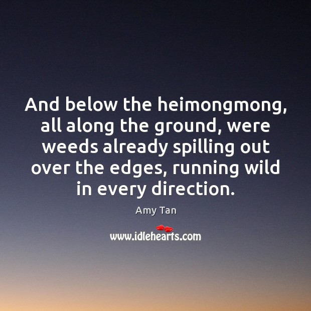 And below the heimongmong, all along the ground, were weeds already spilling Amy Tan Picture Quote