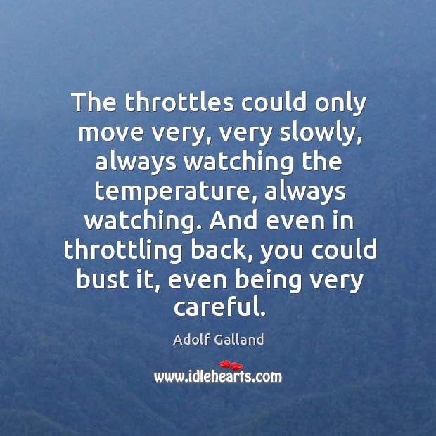 And even in throttling back, you could bust it, even being very careful. Adolf Galland Picture Quote