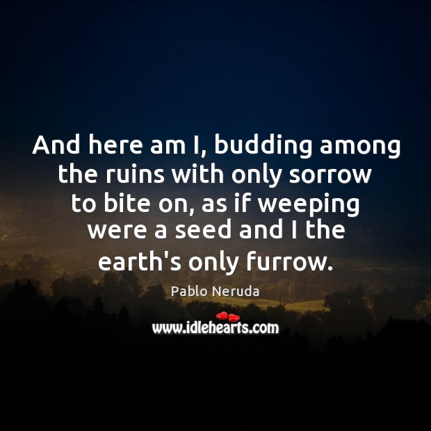 And here am I, budding among the ruins with only sorrow to Pablo Neruda Picture Quote