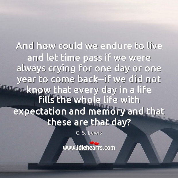 And how could we endure to live and let time pass if C. S. Lewis Picture Quote