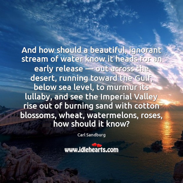 And how should a beautiful, ignorant stream of water know it heads Carl Sandburg Picture Quote
