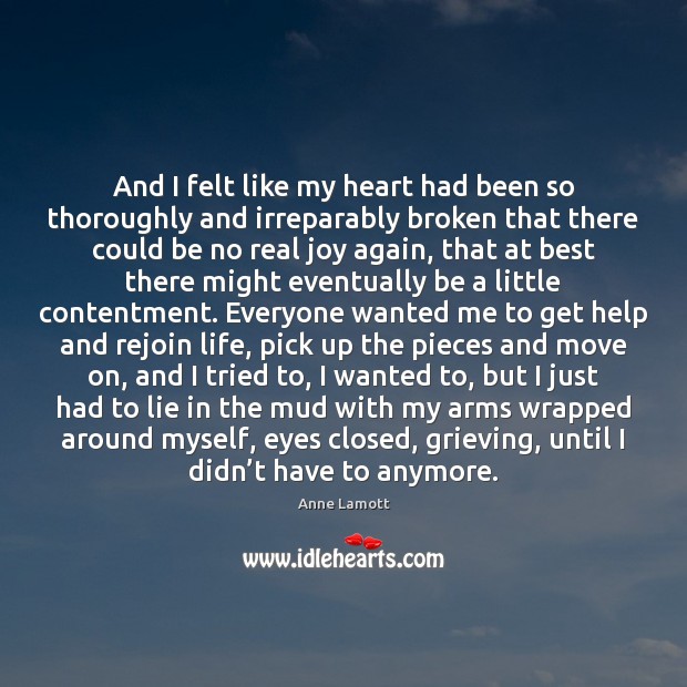 And I felt like my heart had been so thoroughly and irreparably Anne Lamott Picture Quote