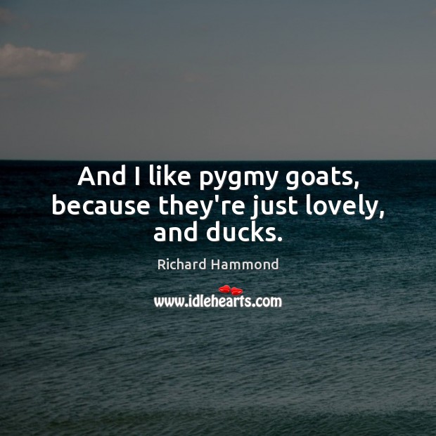 And I like pygmy goats, because they’re just lovely, and ducks. 