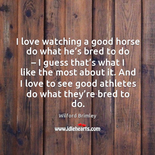 And I love to see good athletes do what they’re bred to do. Wilford Brimley Picture Quote