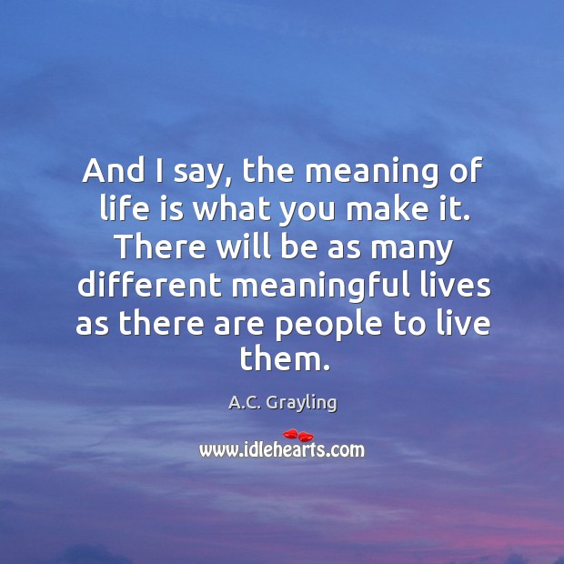 And I say, the meaning of life is what you make it. A.C. Grayling Picture Quote