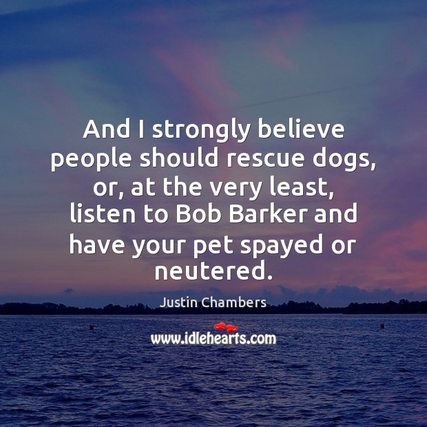 And I strongly believe people should rescue dogs, or, at the very Justin Chambers Picture Quote
