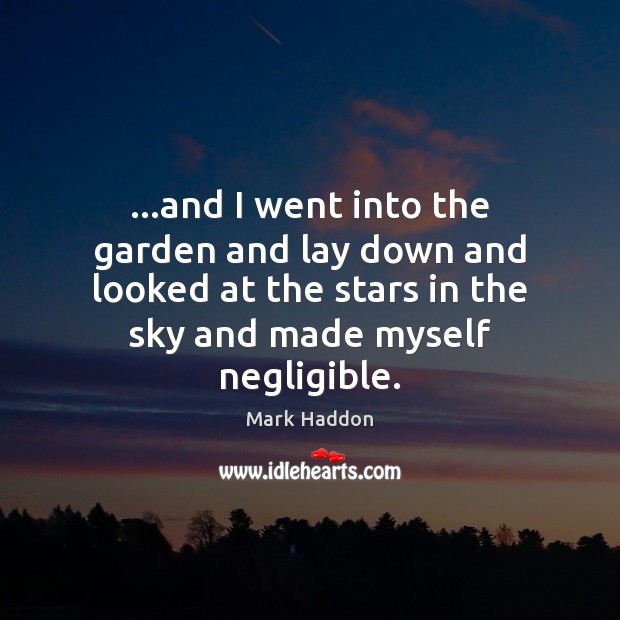…and I went into the garden and lay down and looked at Mark Haddon Picture Quote