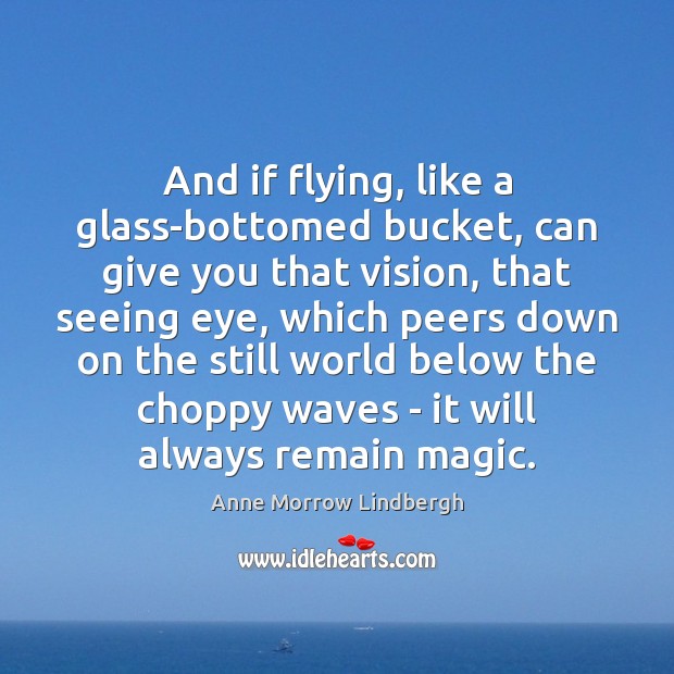 And if flying, like a glass-bottomed bucket, can give you that vision, Anne Morrow Lindbergh Picture Quote