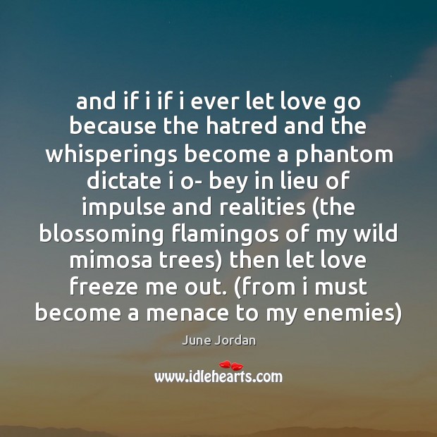 And if i if i ever let love go because the hatred June Jordan Picture Quote