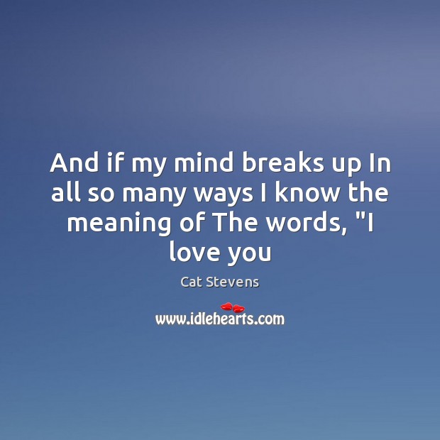 And if my mind breaks up In all so many ways I know the meaning of The words, “I love you Cat Stevens Picture Quote